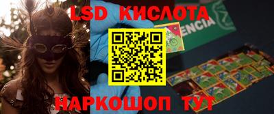 прущие грибы Дубна