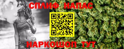 прущие грибы Дубна