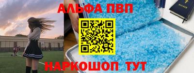 прущие грибы Дубна